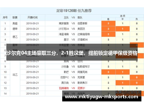 沙尔克04主场豪取三分，2-1胜汉堡，提前锁定德甲保级资格